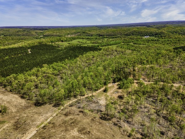 0 Cedar Grove Road Iron City, TN 38463 - Photo 7 of 11