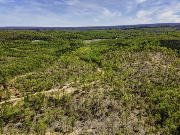 0 Cedar Grove Road Iron City, TN 38463 - Photo 8 of 11