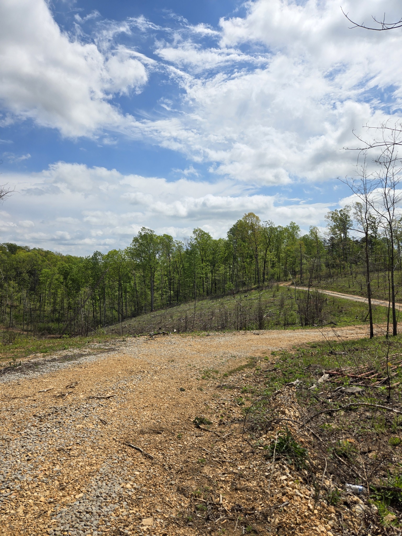 0 Cedar Grove Road Iron City, TN 38463 - Photo 9 of 11