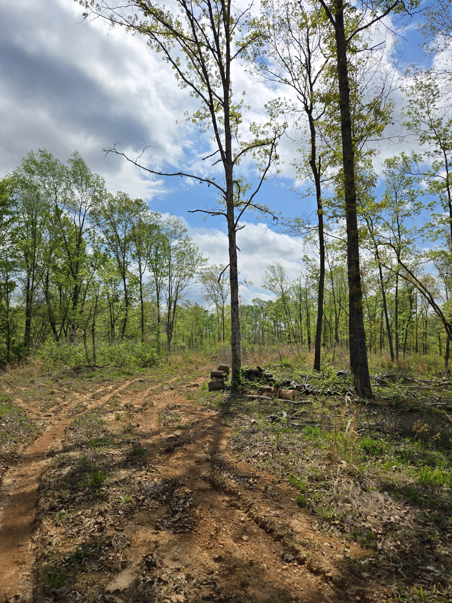 0 Cedar Grove Road Iron City, TN 38463 - Photo 10 of 11