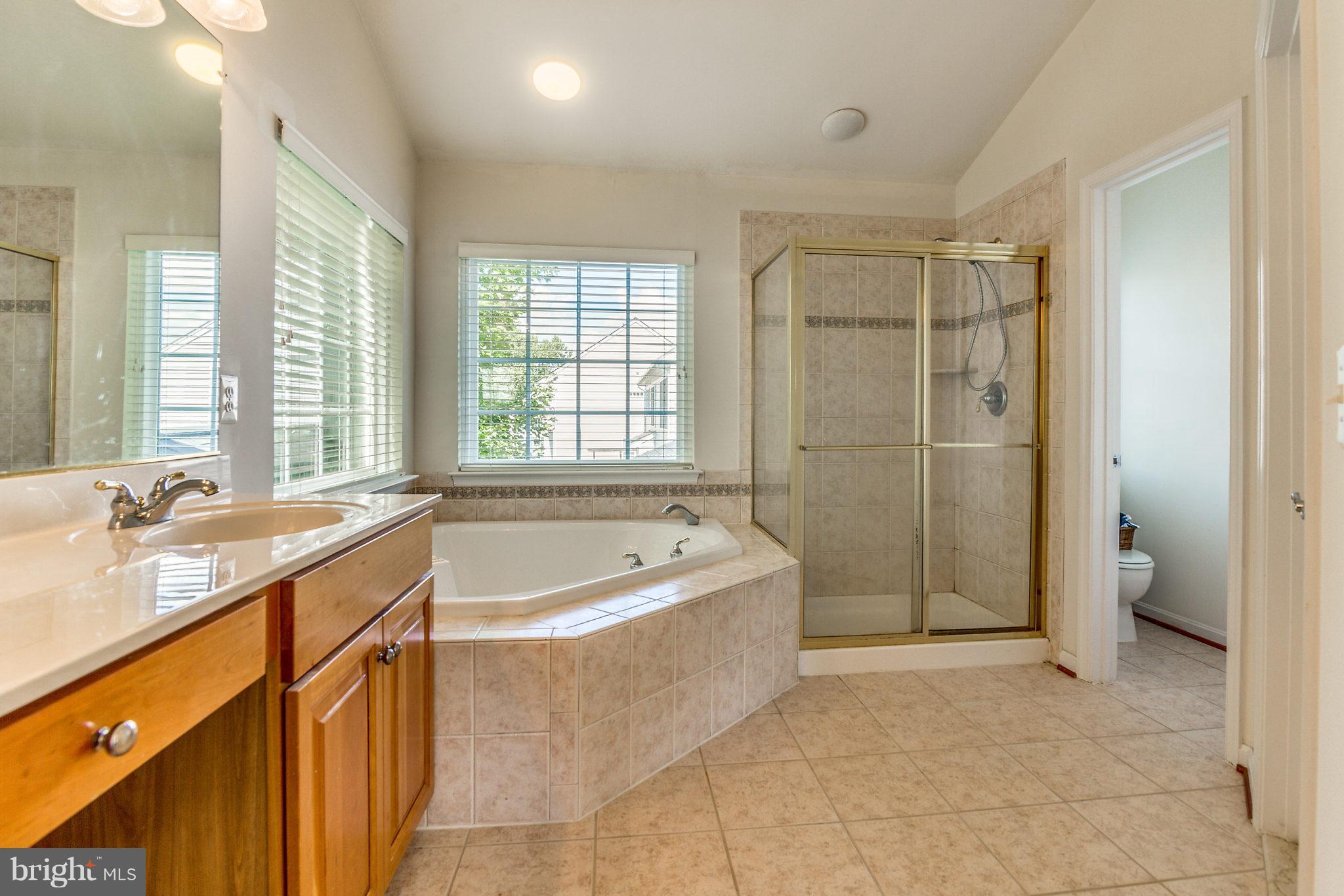 24806 Prairie Grass Drive Aldie, VA 20105 - Photo 16 of 30 a spacious bathroom with a tub sink shower and mirror