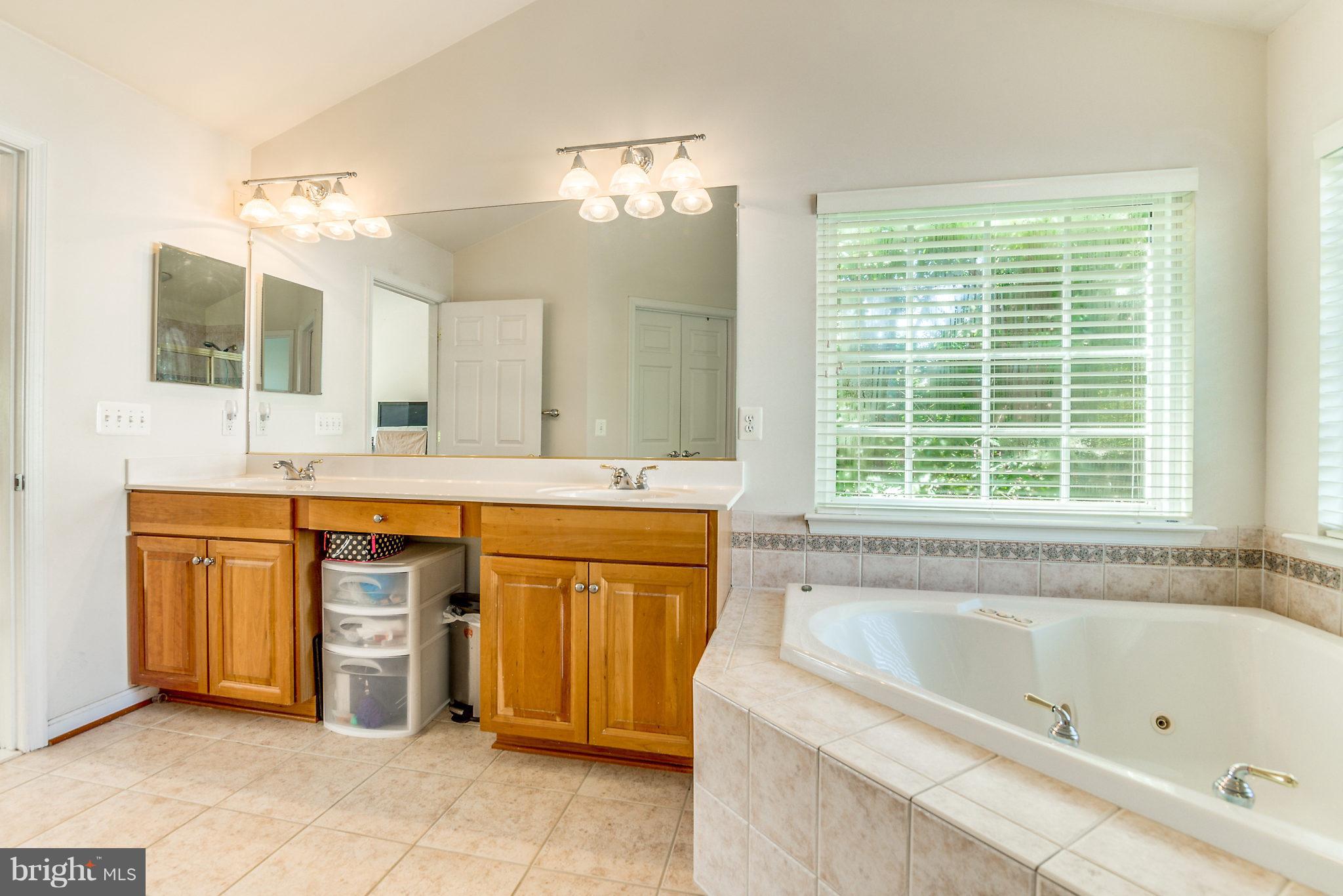 24806 Prairie Grass Drive Aldie, VA 20105 - Photo 17 of 30 a bathroom with a tub sink and mirror