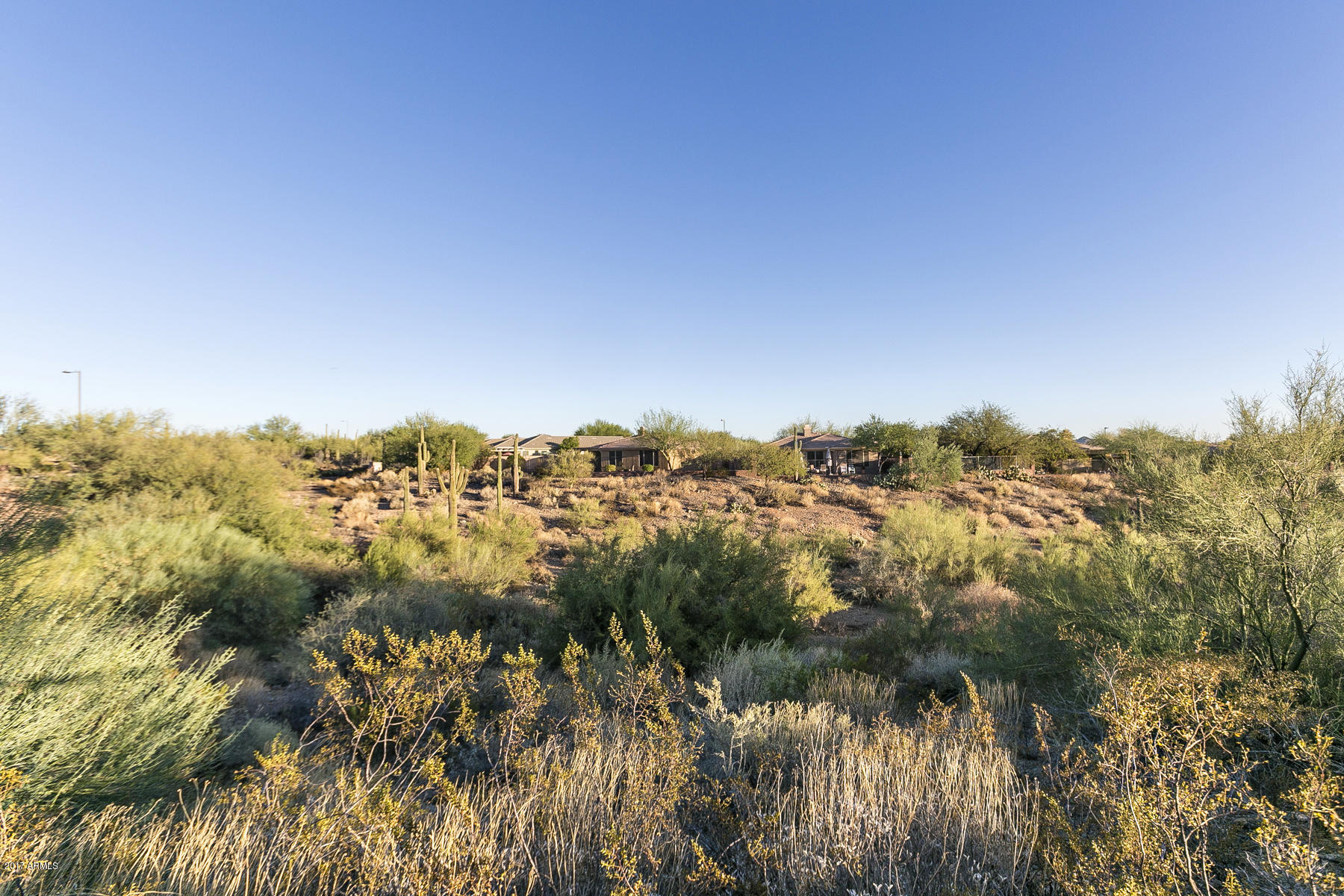 41621 North Cedar Chase Road Anthem, AZ 85086 - Photo 30 of 51 Sonoran Desert Wash Views