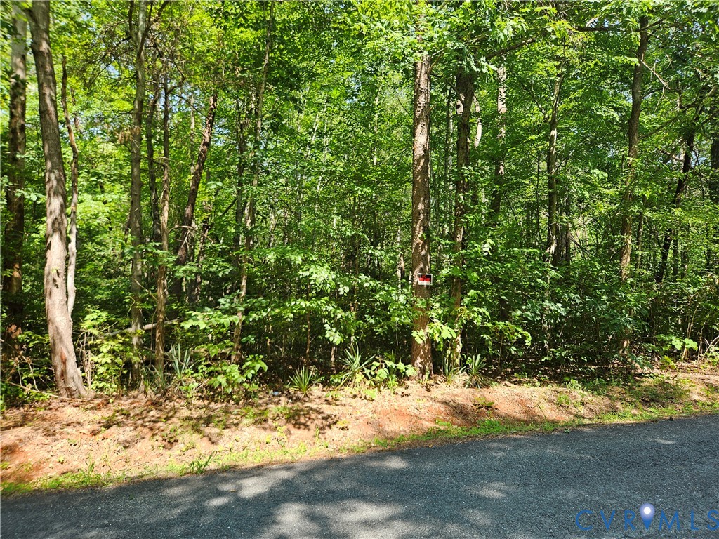 9-ac Childress Road Dillwyn, VA 23936 - Photo 5 of 8