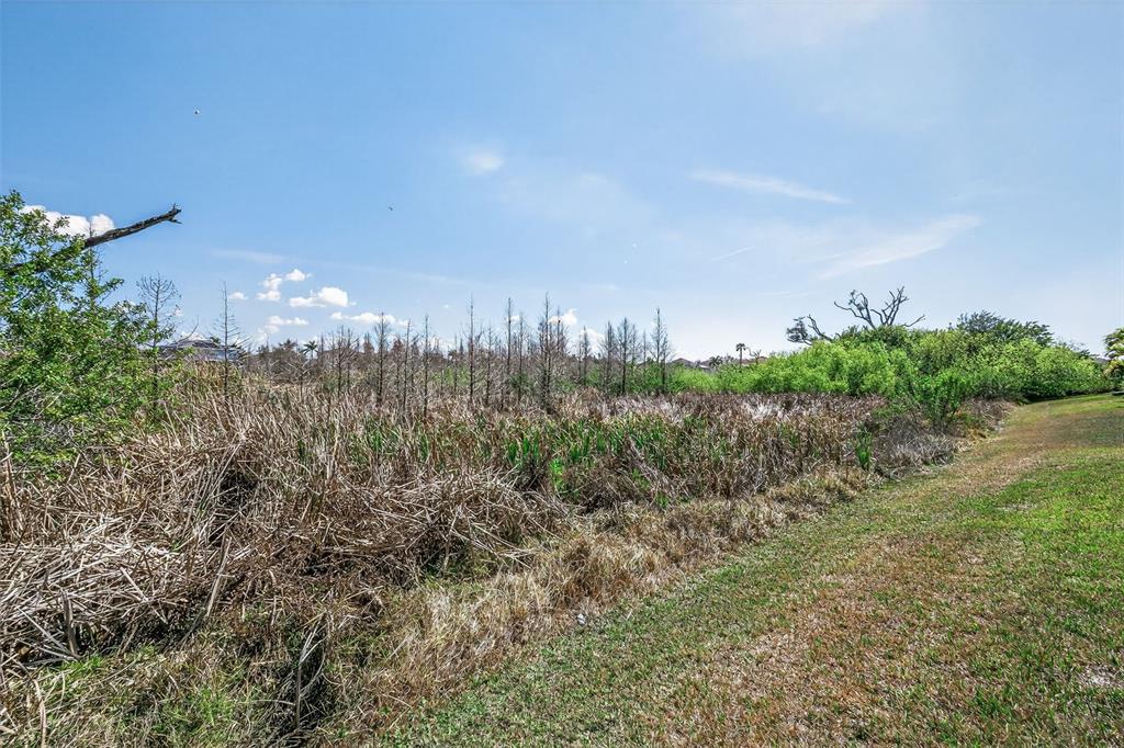 521 Vista Ridge Drive Ruskin, FL 33570 - Photo 60 of 88