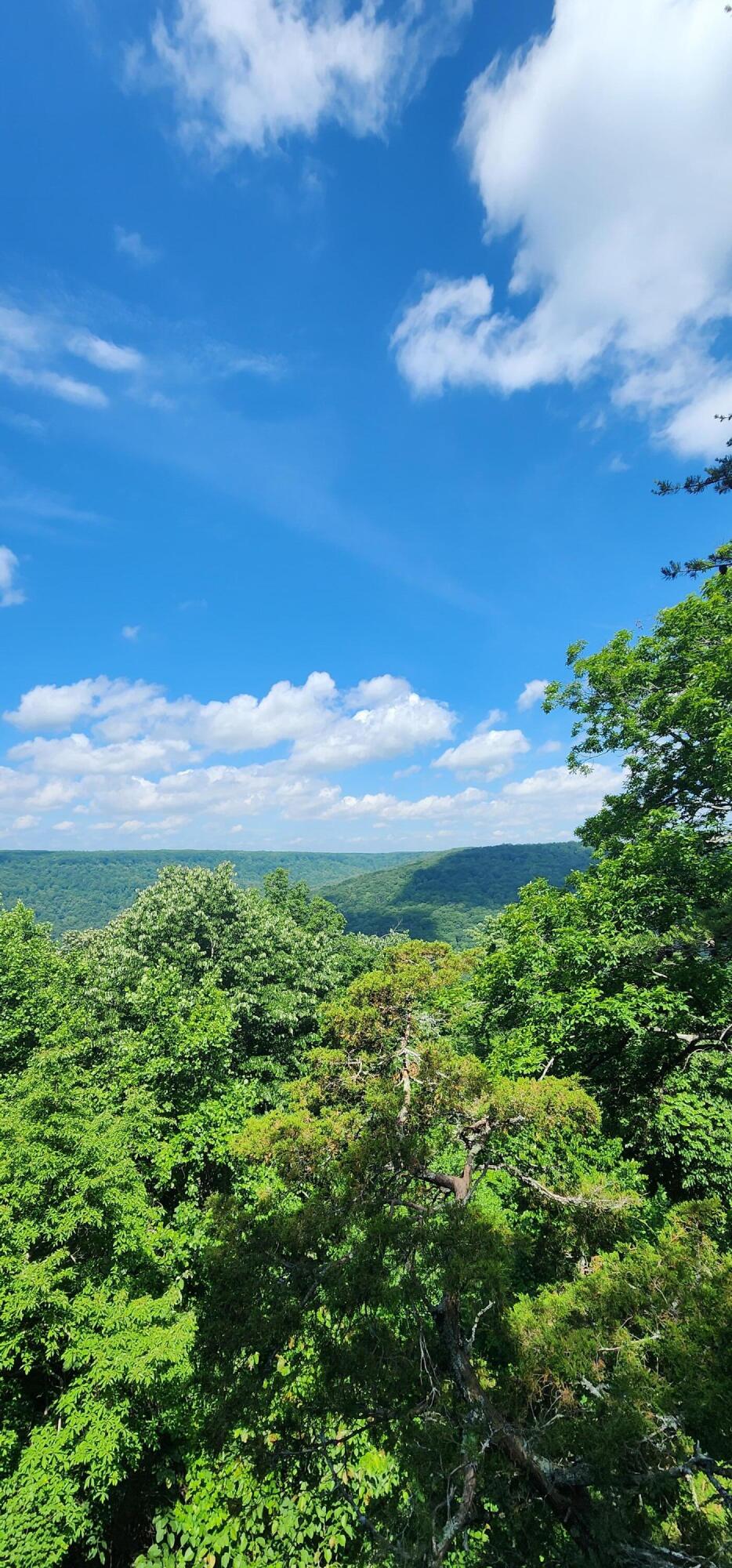 0 Roth Point Road, Unit 5 Altamont, TN 37301 - Photo 25 of 53 1000052010