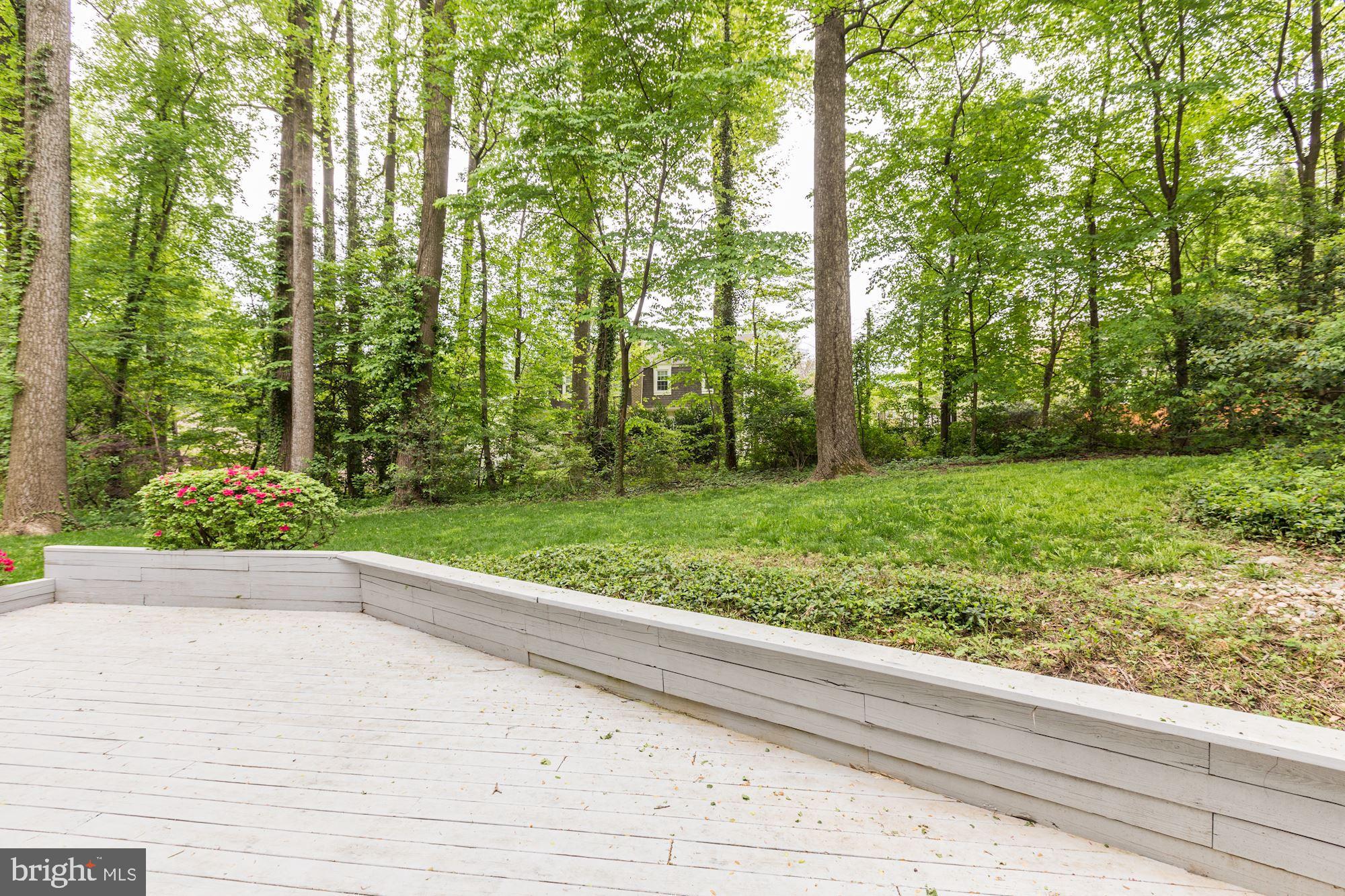 11809 Tree Fern Court Reston, VA 20191 - Photo 51 of 58