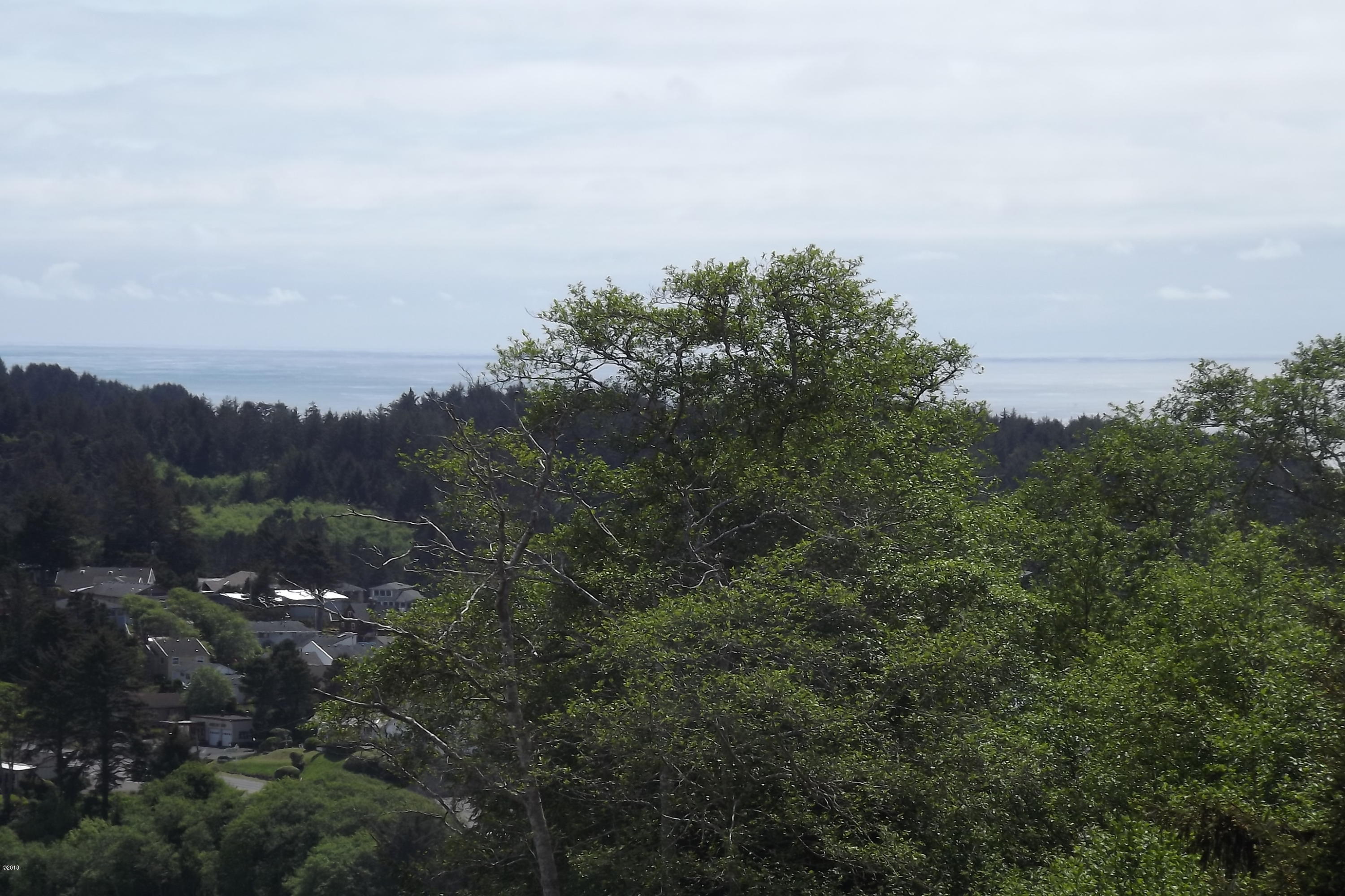 Lot 44 Spring Street Depoe Bay, OR 97341 - Photo 5 of 5 Ocean view too!