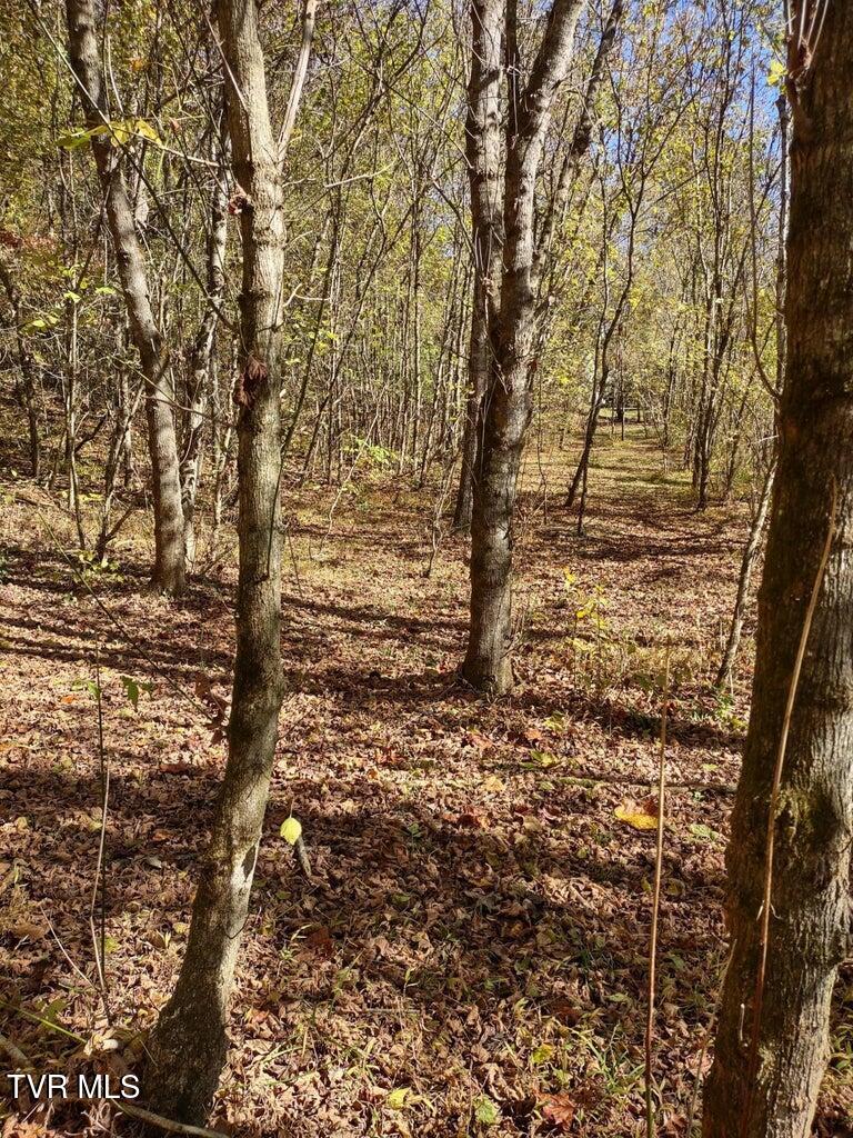 Tbd North Fork River Road, Unit 3 Abingdon, VA 24210 - Photo 7 of 34 *