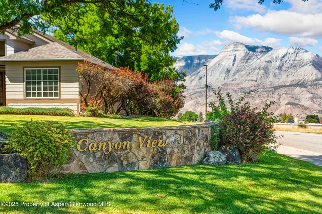 a view of a back yard