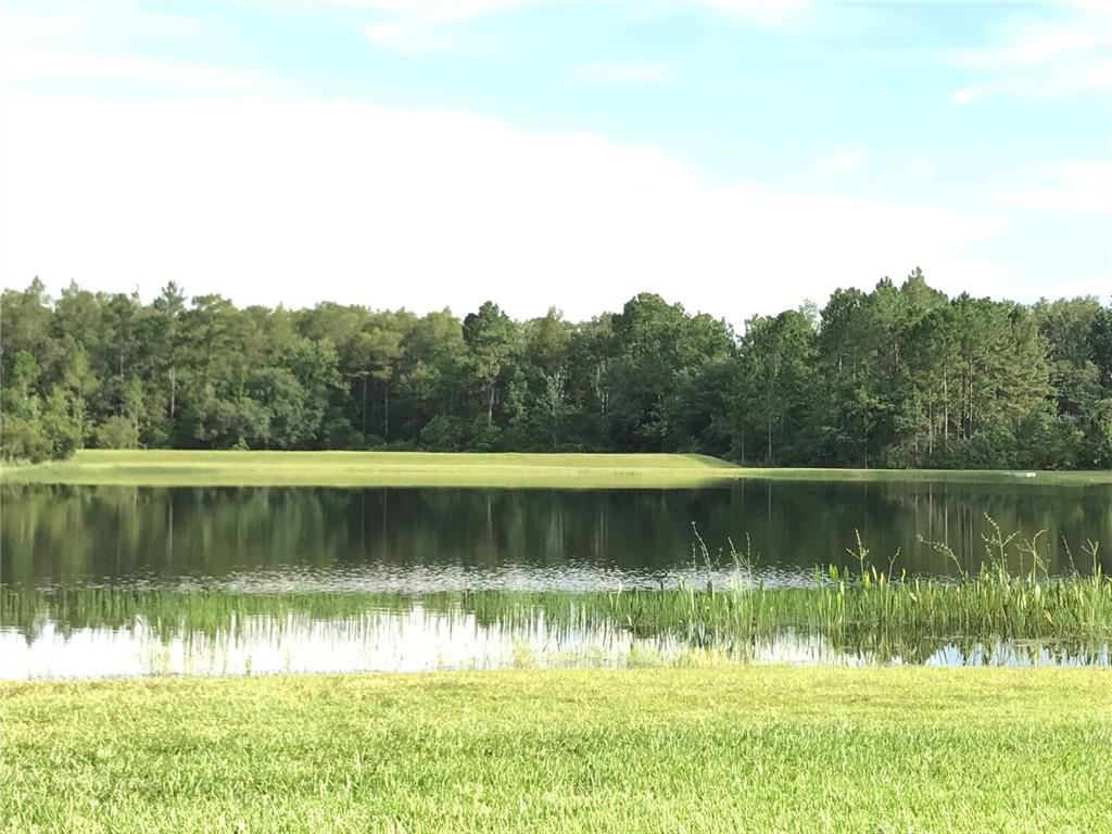 1702 Cypress Ridge Drive Orlando, FL 32825 - Photo 3 of 40