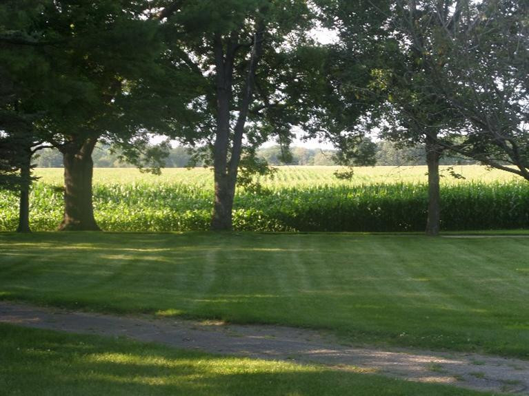 14621 Waldo Road Chelsea, MI 48118 - Photo 1 of 26 Photo 1