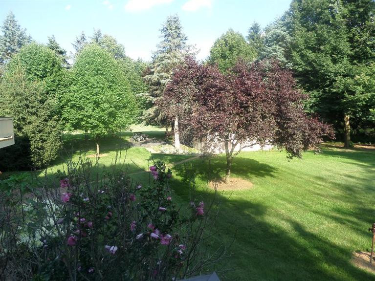 14621 Waldo Road Chelsea, MI 48118 - Photo 2 of 26 Photo 2