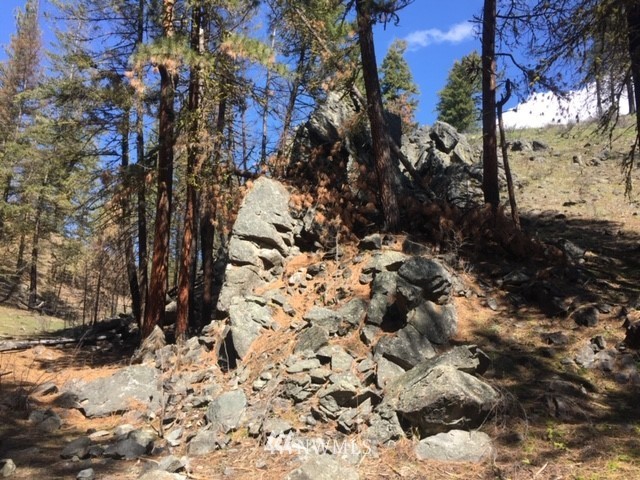 -nhn Sawmill Road Chelan, WA 98816 - Photo 3 of 6 Gallery Image 3
