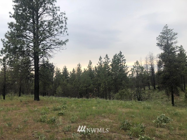 -nhn Sawmill Road Chelan, WA 98816 - Photo 4 of 6 Gallery Image 4