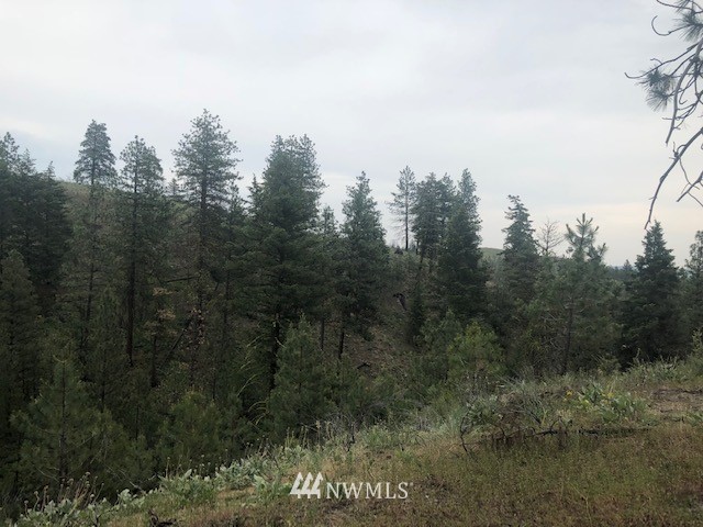 -nhn Sawmill Road Chelan, WA 98816 - Photo 5 of 6 Gallery Image 5
