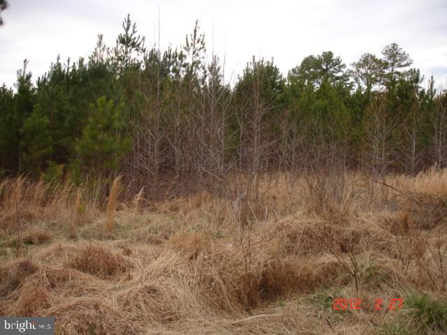 Adams Westover, MD 21871 - Photo 1 of 2 Gallery Image 1