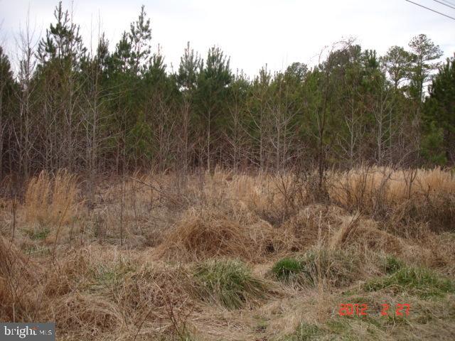 Adams Westover, MD 21871 - Photo 2 of 2 Gallery Image 2
