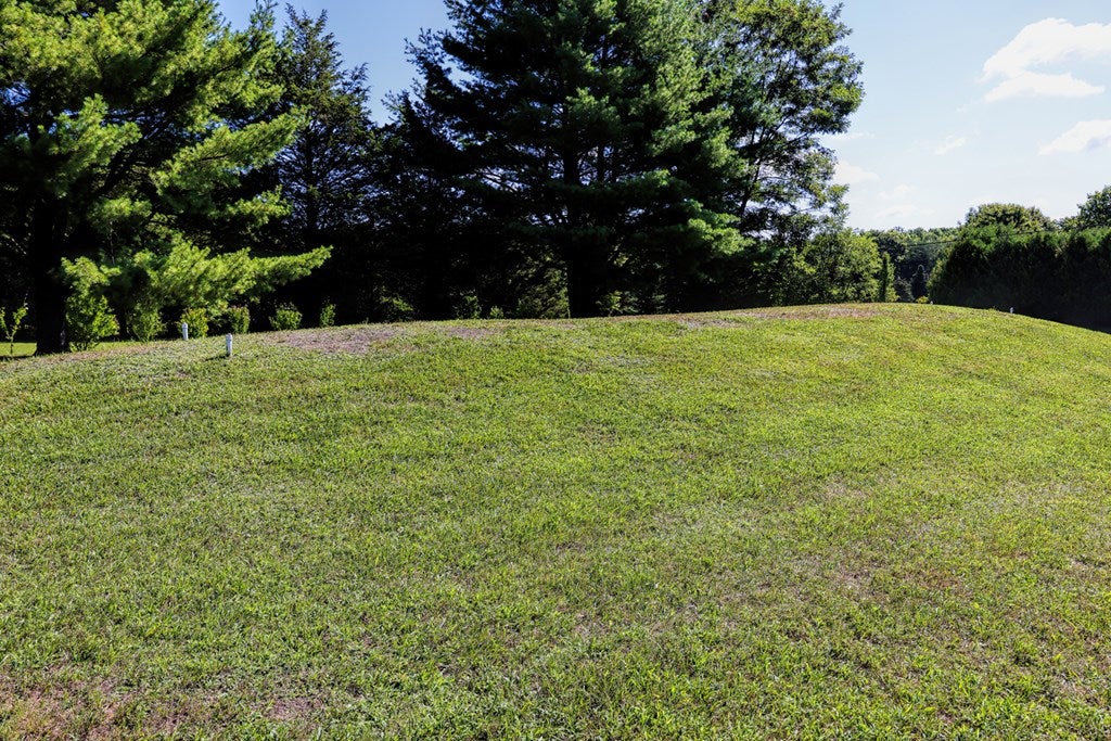 16934 Michele Road Todd, PA 16685 - Photo 14 of 59 Gallery Image 14