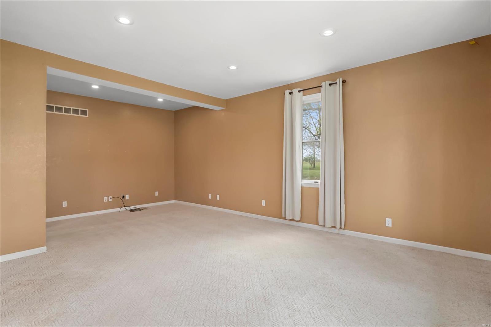 22910 St Rose Road Highland, IL 62249 - Photo 4 of 46