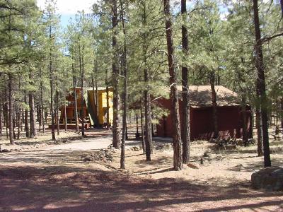 243 East Robin Hood Road Williams, AZ 86046 - Photo 2 of 11 Additional Photo