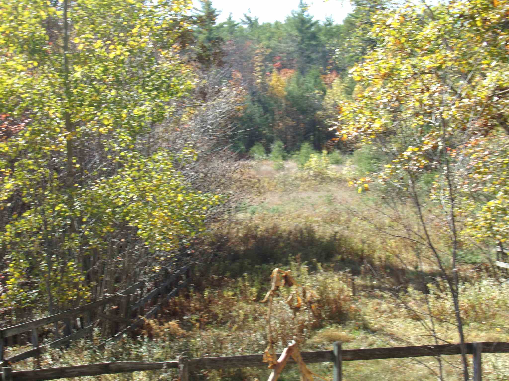 50 Colcord Hill Road Effingham, NH 03882 - Photo 13 of 40