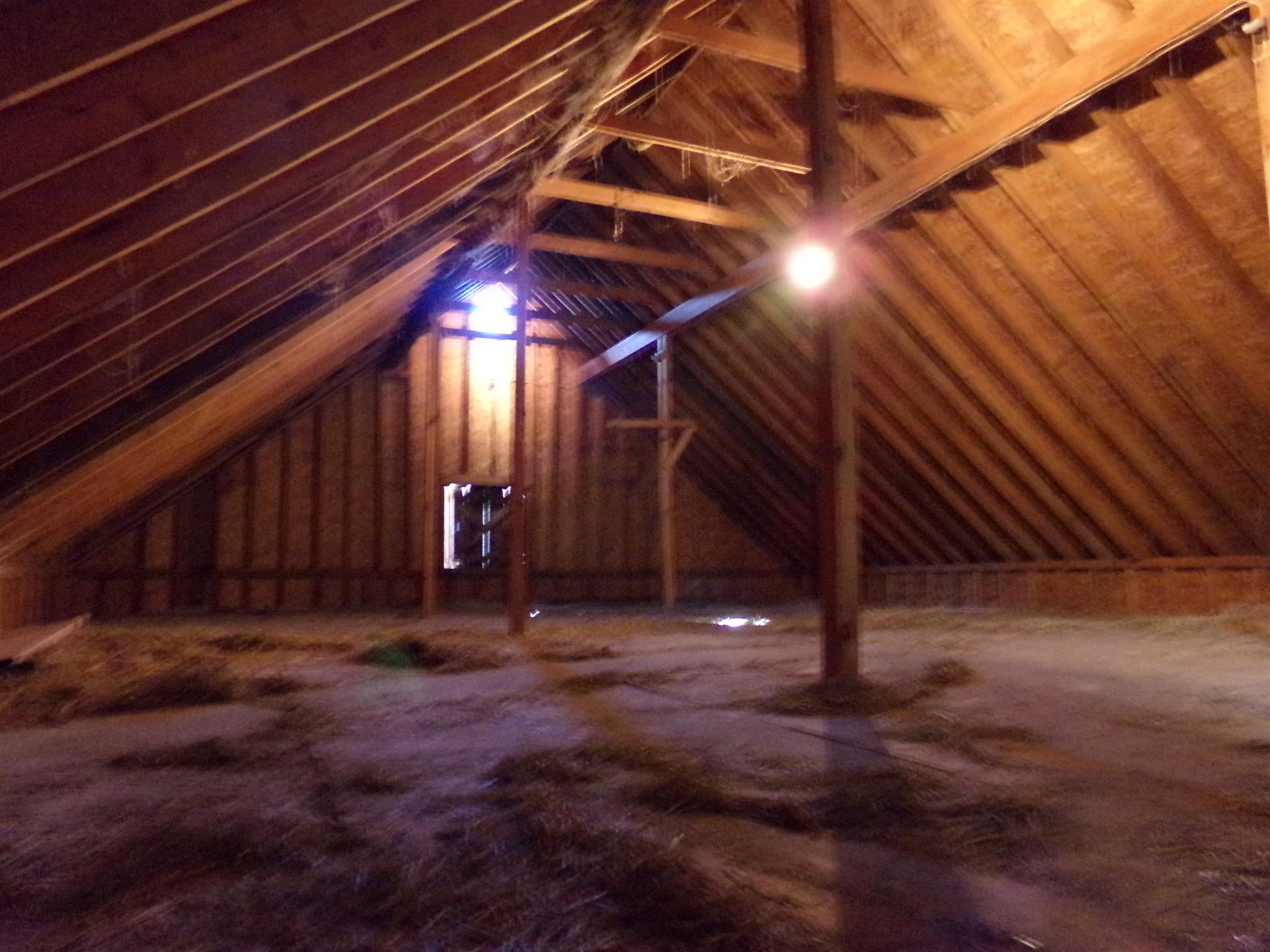 50 Colcord Hill Road Effingham, NH 03882 - Photo 35 of 40