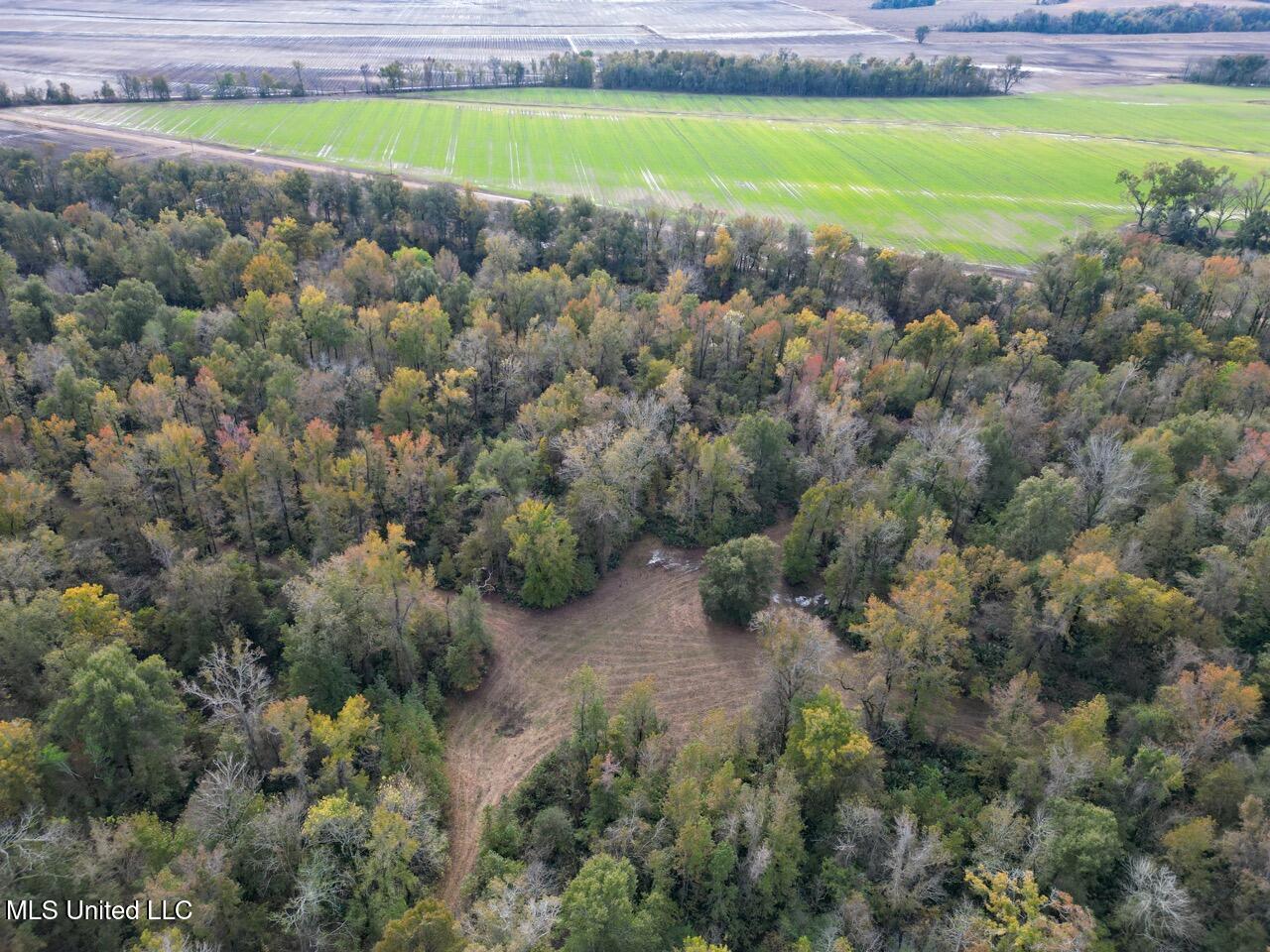 298 Crescent Rd Street Waterproof, LA 71375 - Photo 11 of 47 DJI_0832 Large