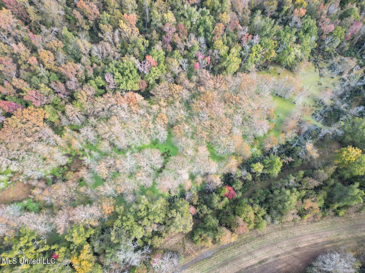 298 Crescent Rd Street Waterproof, LA 71375 - Photo 12 of 47 DJI_0834 Large