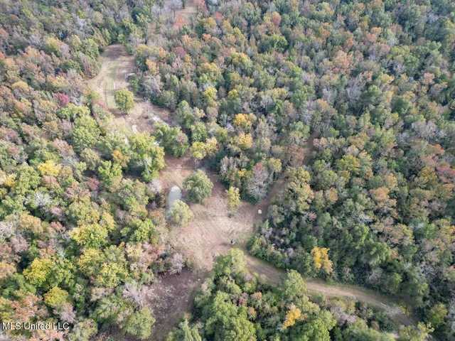 $2,990,000 | 298 Crescent Rd Street, Waterproof, LA 71375