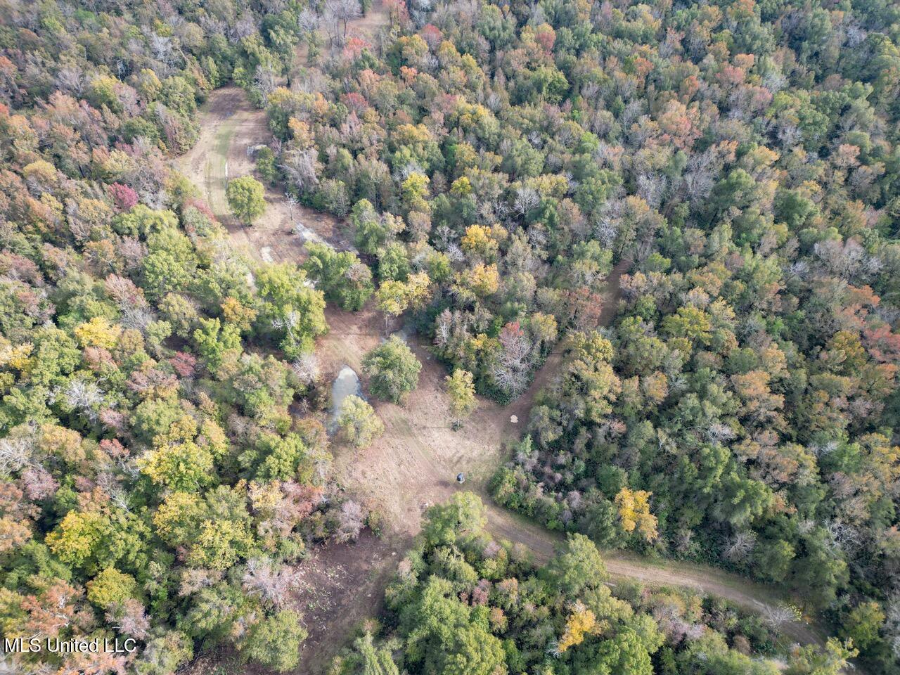 298 Crescent Rd Street Waterproof, LA 71375 - Photo 13 of 47 DJI_0836 Large