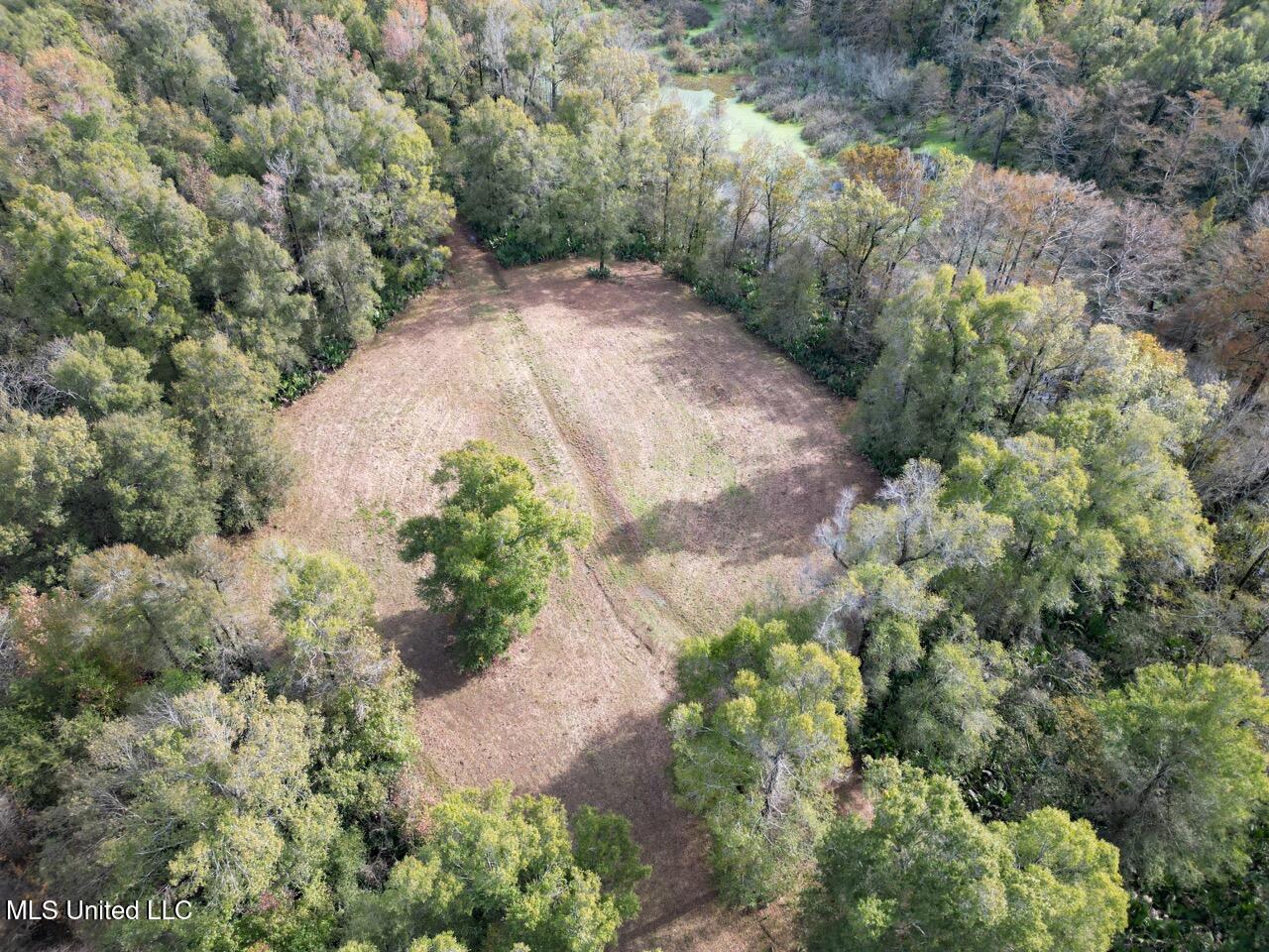 298 Crescent Rd Street Waterproof, LA 71375 - Photo 15 of 47 DJI_0843 Large