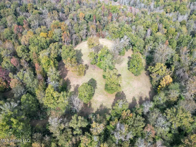 $2,990,000 | 298 Crescent Rd Street, Waterproof, LA 71375