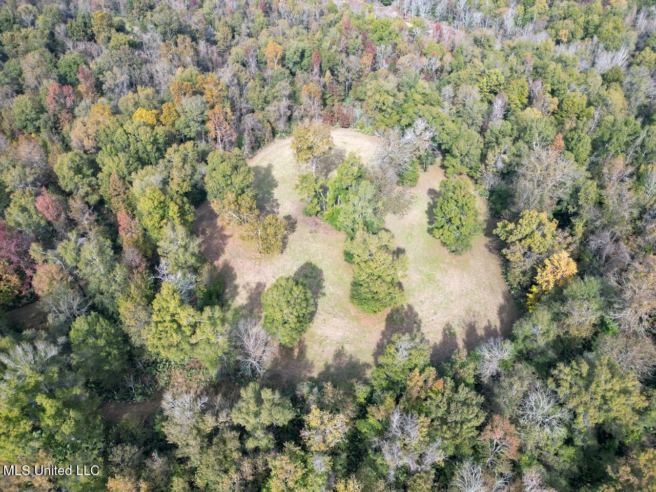 298 Crescent Rd Street Waterproof, LA 71375 - Photo 16 of 47 DJI_0848 Large