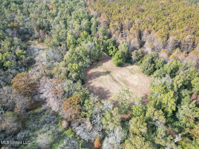 $2,990,000 | 298 Crescent Rd Street, Waterproof, LA 71375