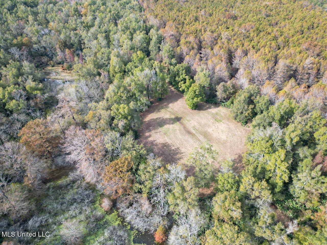 298 Crescent Rd Street Waterproof, LA 71375 - Photo 17 of 47 DJI_0849 Large