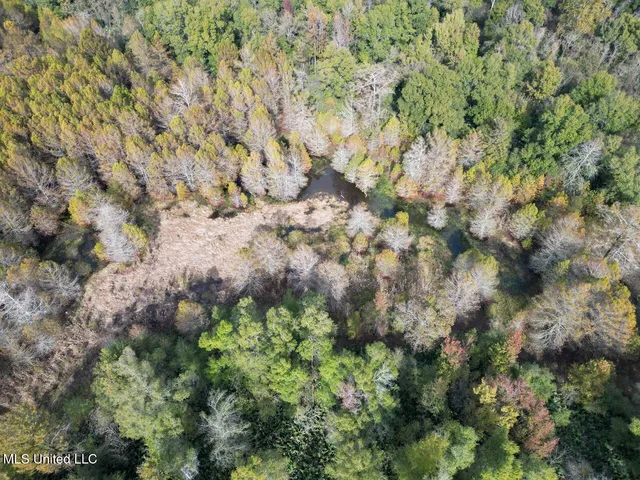 $2,990,000 | 298 Crescent Rd Street, Waterproof, LA 71375