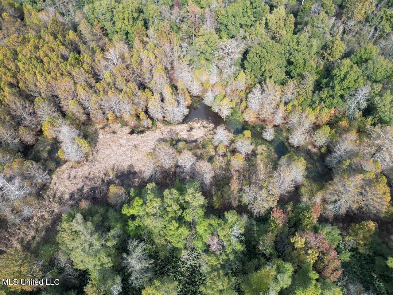 298 Crescent Rd Street Waterproof, LA 71375 - Photo 18 of 47 DJI_0850 2 Large