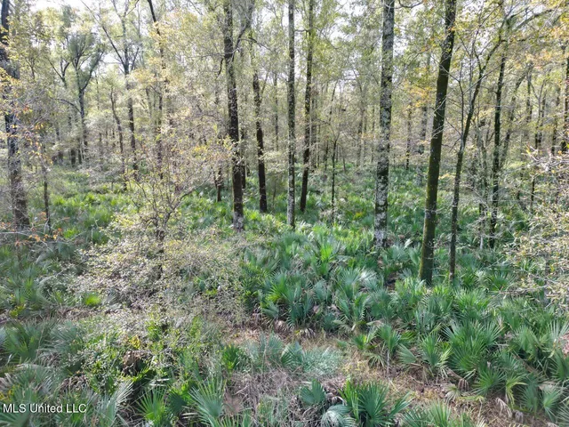 $2,990,000 | 298 Crescent Rd Street, Waterproof, LA 71375