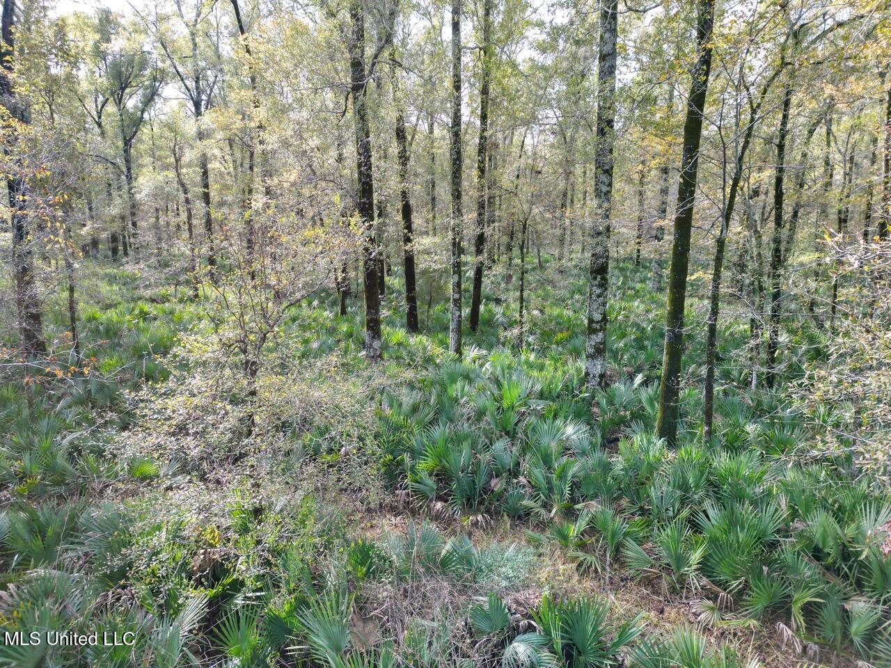 298 Crescent Rd Street Waterproof, LA 71375 - Photo 19 of 47 DJI_0851 2 Large