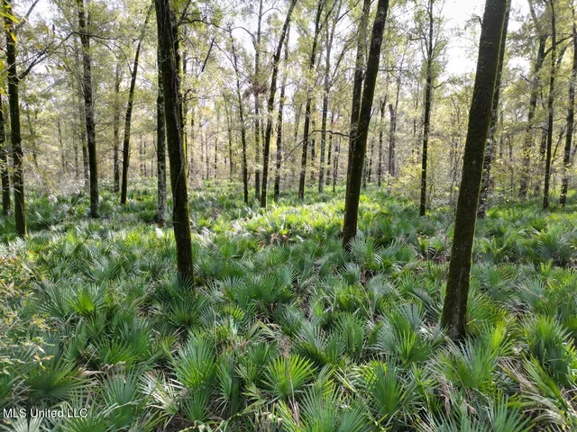 $2,990,000 | 298 Crescent Rd Street, Waterproof, LA 71375