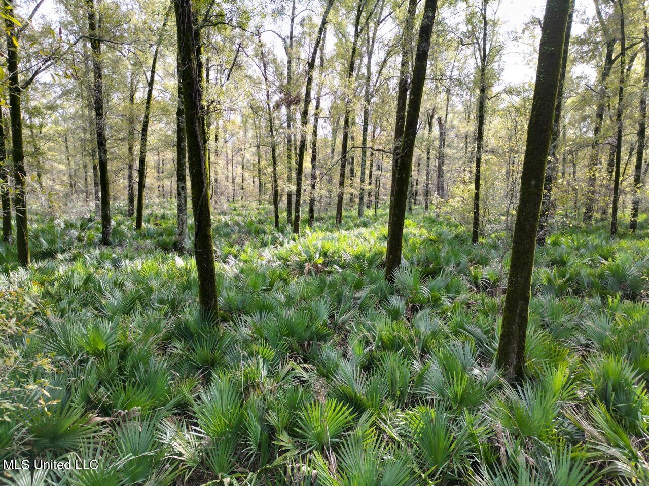 298 Crescent Rd Street Waterproof, LA 71375 - Photo 20 of 47 DJI_0853 Large