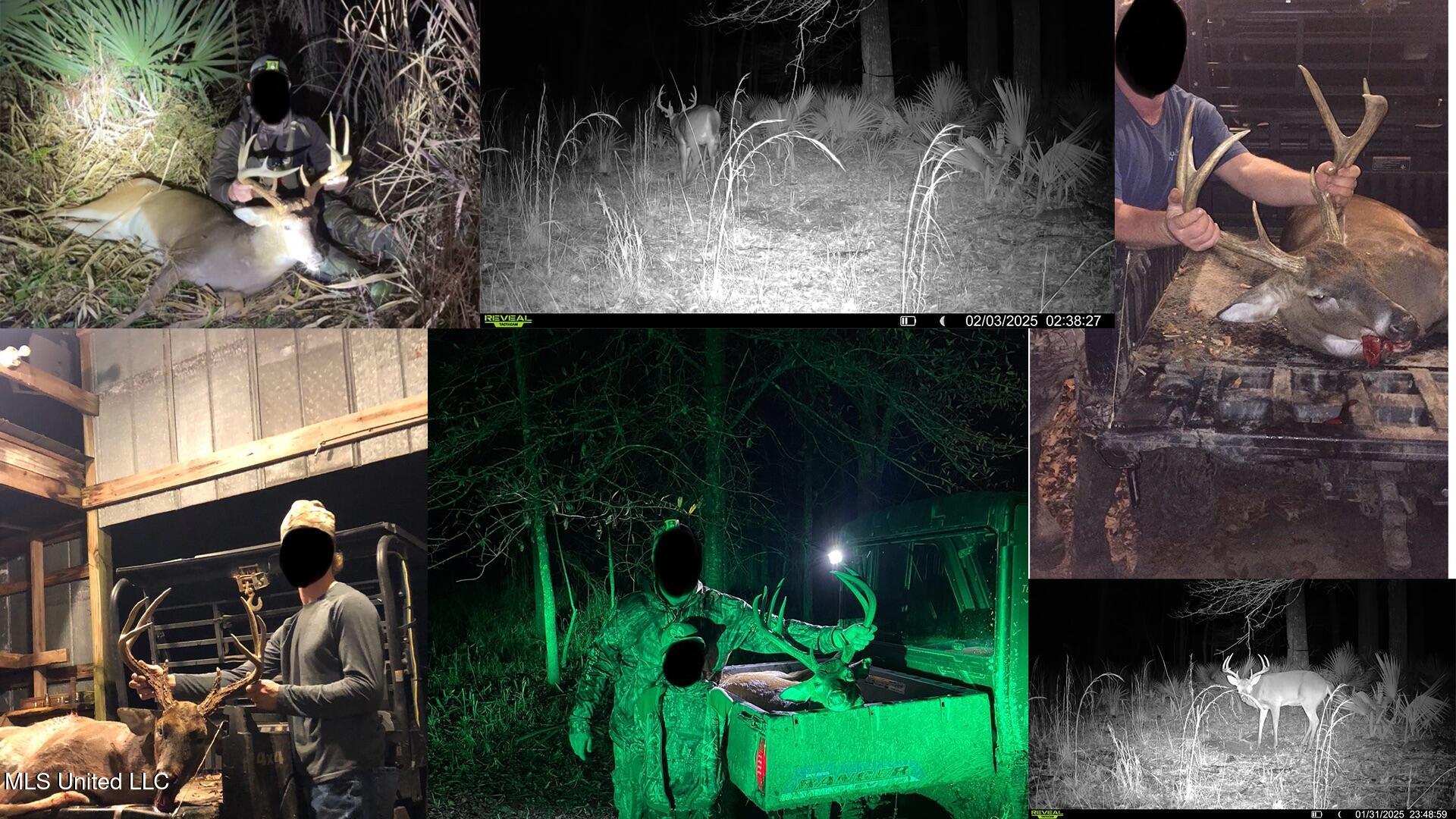 298 Crescent Rd Street Waterproof, LA 71375 - Photo 2 of 47 tens coll 2