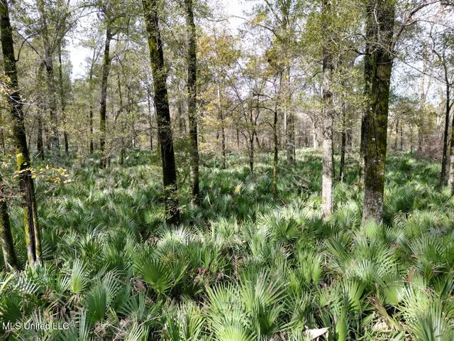 $2,990,000 | 298 Crescent Rd Street, Waterproof, LA 71375