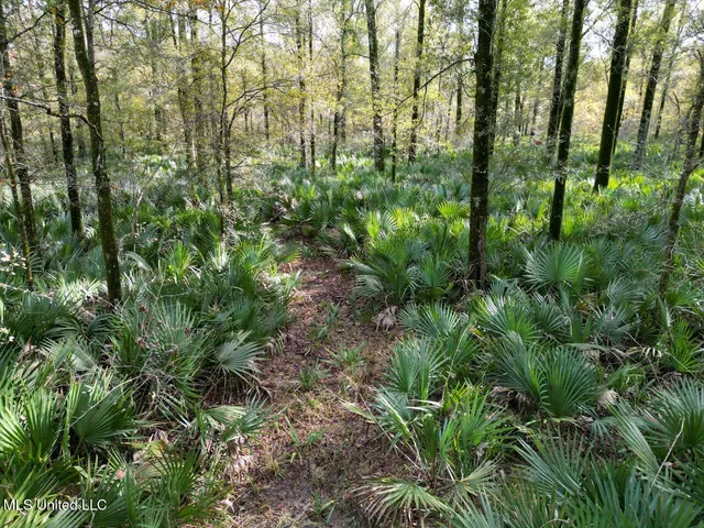 $2,990,000 | 298 Crescent Rd Street, Waterproof, LA 71375