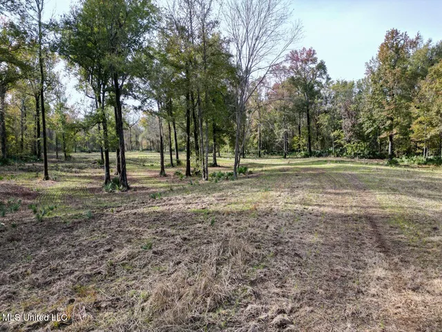 $2,990,000 | 298 Crescent Rd Street, Waterproof, LA 71375