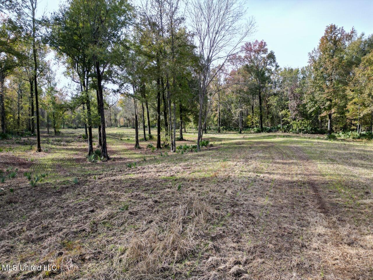 298 Crescent Rd Street Waterproof, LA 71375 - Photo 23 of 47 DJI_0856 Large