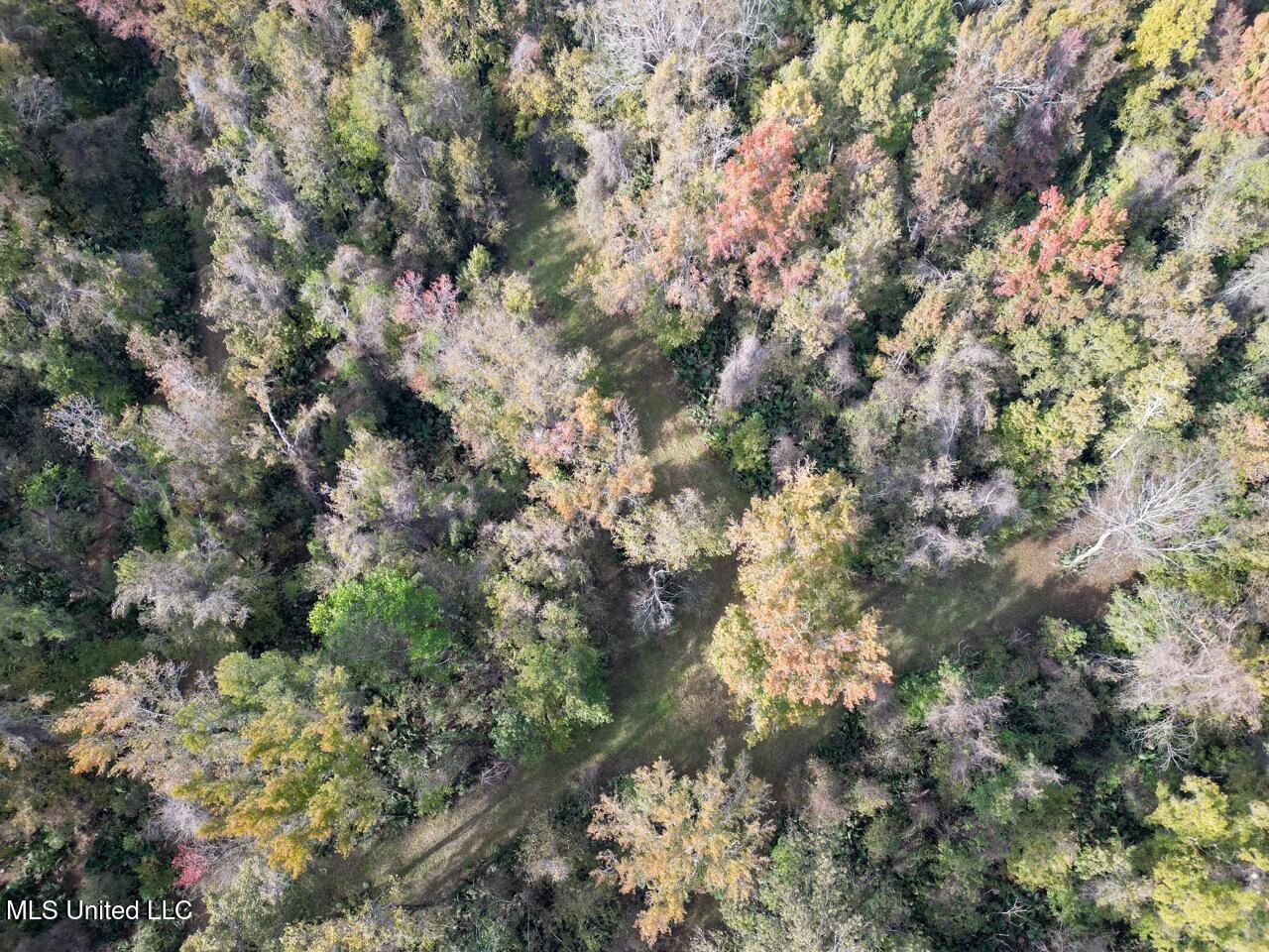 298 Crescent Rd Street Waterproof, LA 71375 - Photo 24 of 47 DJI_0860 Large