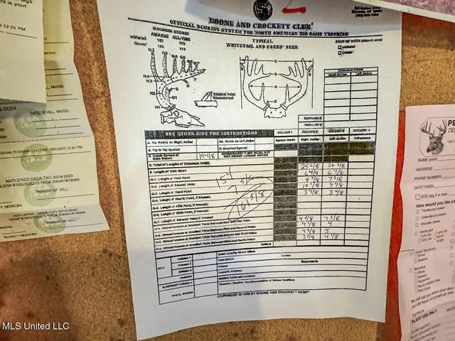 $2,990,000 | 298 Crescent Rd Street, Waterproof, LA 71375