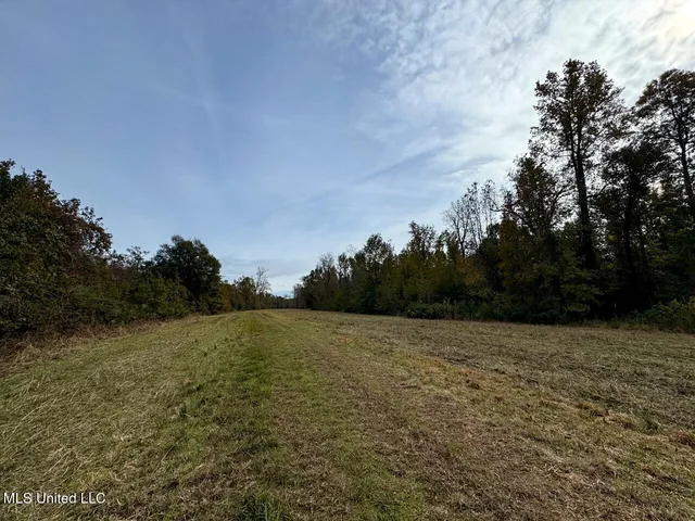 $2,990,000 | 298 Crescent Rd Street, Waterproof, LA 71375